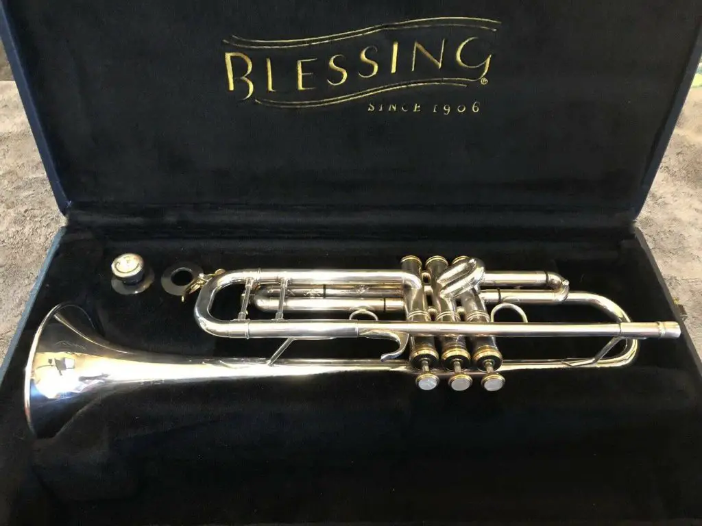 Are Trumpets Expensive? (An Honest Review)