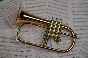 What instruments are similar to the trumpets