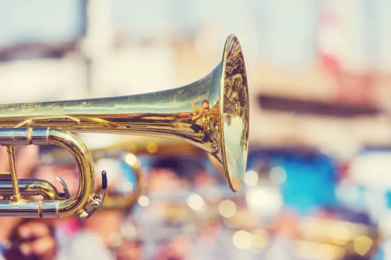 How Much DO Lotus Trumpets Cost? (Explained)