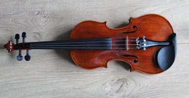 most difficult string instruments
