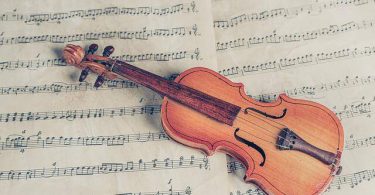 Violin Brands to avoid