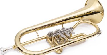 Best Rotary Trumpets