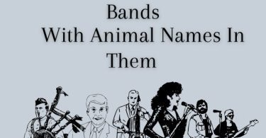 Bands With Animal Names In Them