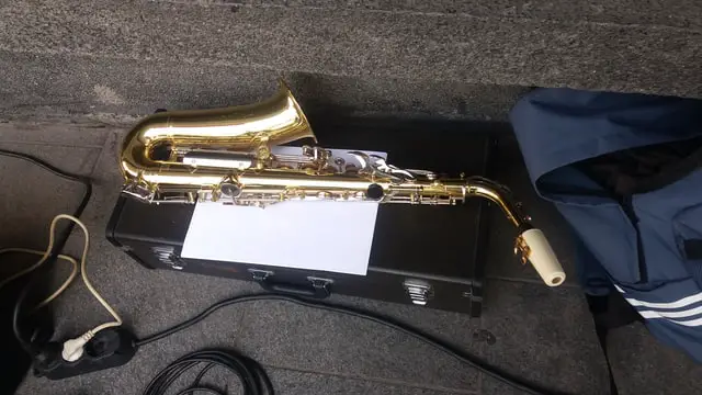Difference Between Student And a Professional Saxophone