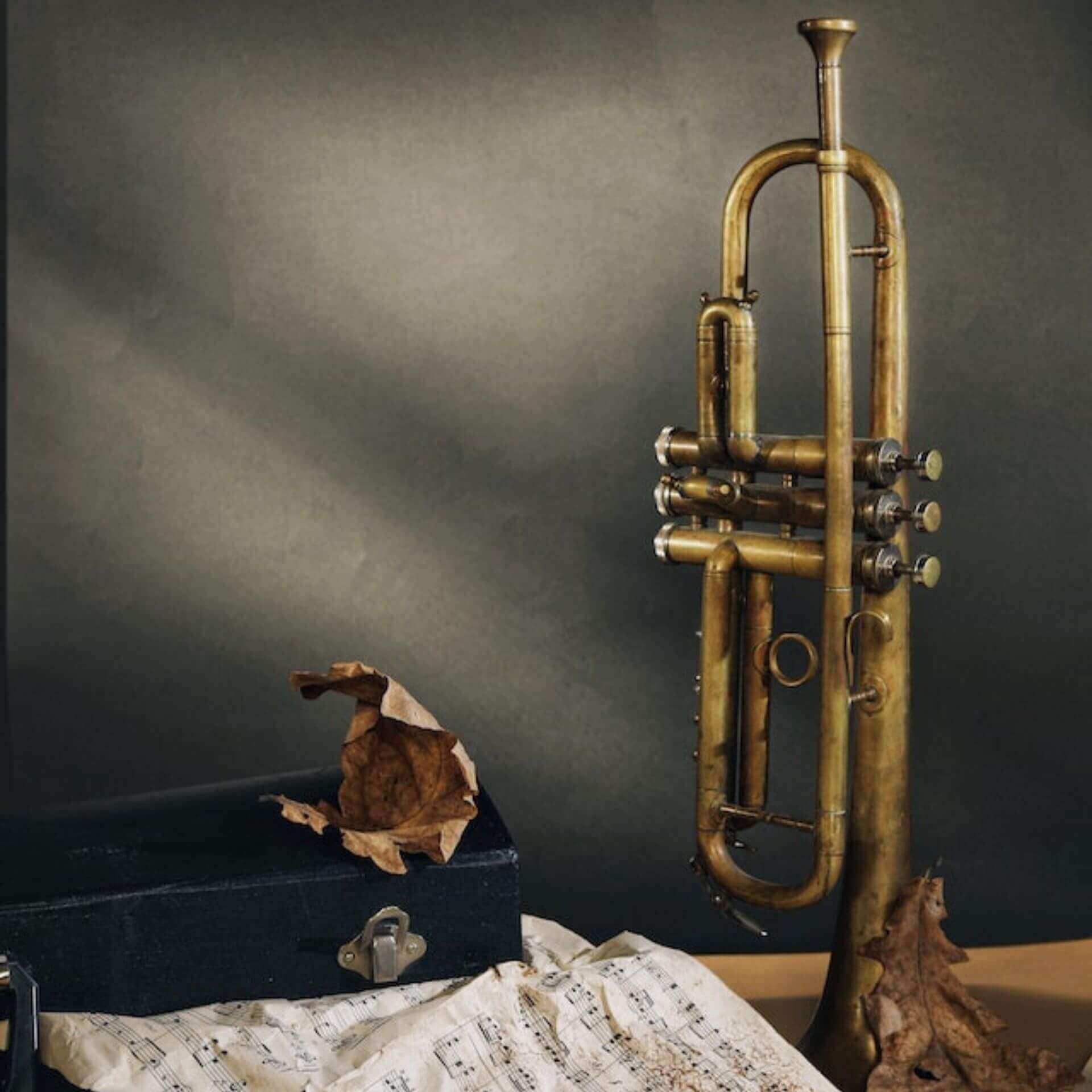 Trumpet Not Making Sound? Here's What You Need to Know